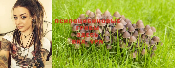 каннабис Верея